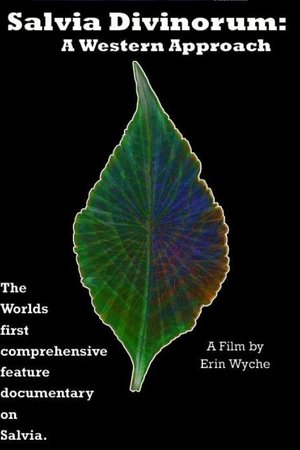 Salvia Divinorum: A Western Approach Salvia Divinorum: A Western Approach