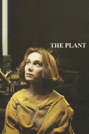 The Plant The Plant