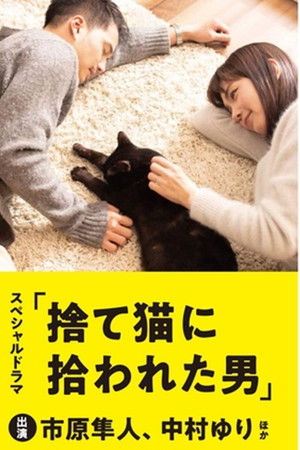 The Man Who Got Picked Up by a Stray Cat The Man Who Got Picked Up by a Stray Cat