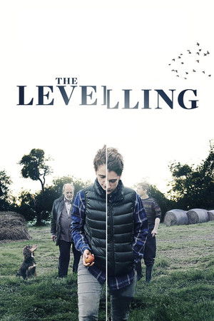 The Levelling The Levelling