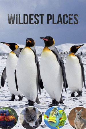 Wildest Places Wildest Places