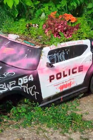 Department of Injustice Department of Injustice