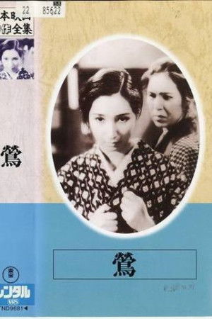 Nightingale Nightingale