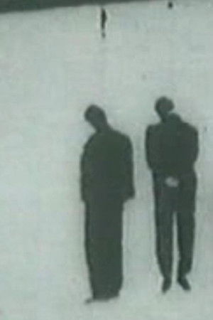 La quieta febbre La quieta febbre