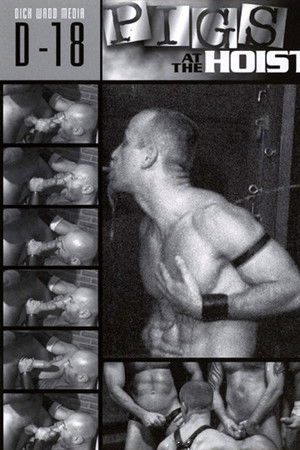 Pigs At The Hoist Pigs At The Hoist