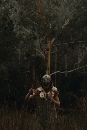 In The Trees In The Trees