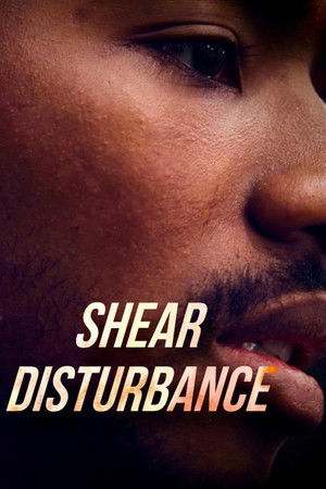 Shear Disturbance Shear Disturbance