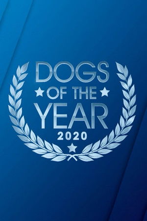 Dogs of the Year Dogs of the Year