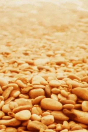 Notes for Jerome Notes for Jerome