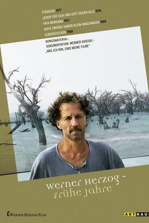 I am My Films, Part 2... 30 Years Later I am My Films, Part 2... 30 Years Later