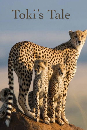 Toki's Tale Toki's Tale
