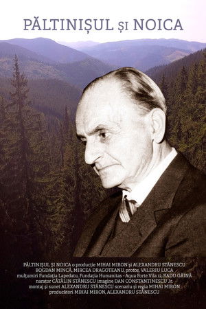 Păltinișul și Noica Păltinișul și Noica