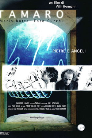 TAMARO. Stones and Angels. Mario Botta Enzo Cucchi TAMARO. Stones and Angels. Mario Botta Enzo Cucchi