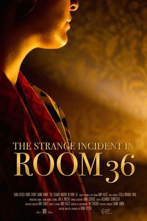 The Strange Incident In Room 36 The Strange Incident In Room 36