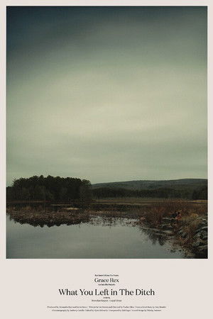 What You Left in the Ditch What You Left in the Ditch