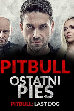 Pitbull. Last Dog Pitbull. Last Dog