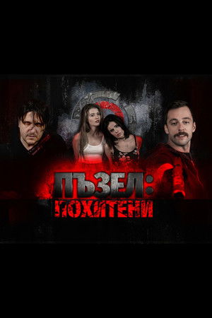 Puzzle: Kidnapped Puzzle: Kidnapped