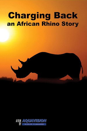 Charging Back: A Rhino Story Charging Back: A Rhino Story
