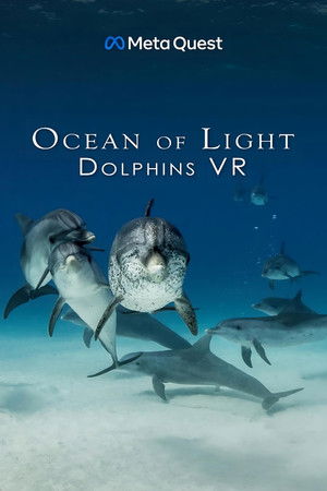 Ocean of Light - Dolphins VR