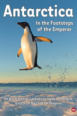 Antarctica, in the footsteps of the Emperor Antarctica, in the footsteps of the Emperor