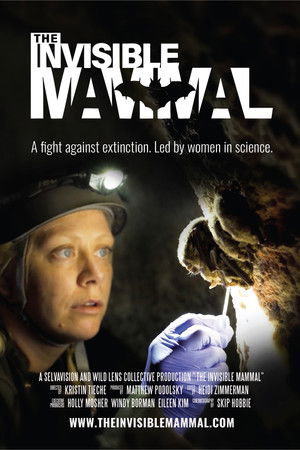 The Invisible Mammal The Invisible Mammal