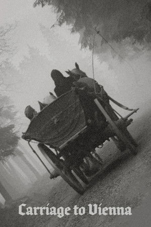 Carriage to Vienna