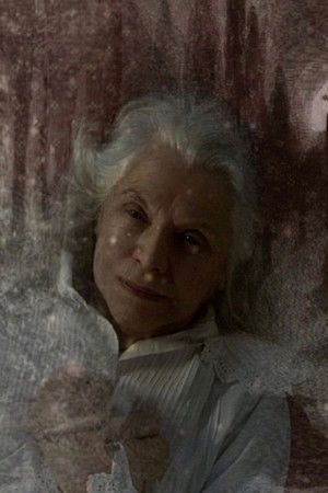 Childhood Amnesia Childhood Amnesia