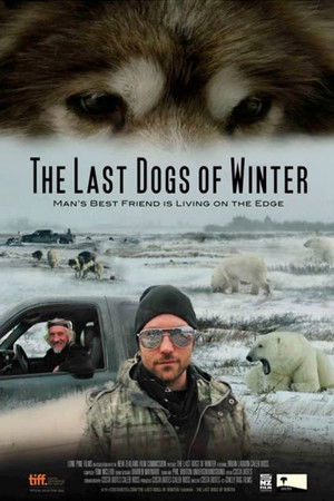 The Last Dogs of Winter The Last Dogs of Winter