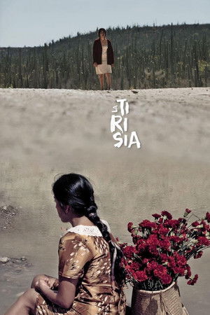 Perpetual Sadness Perpetual Sadness