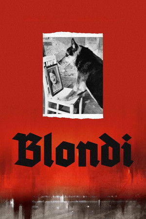 Blondi Blondi