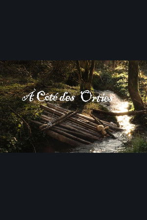 A côté des orties A côté des orties