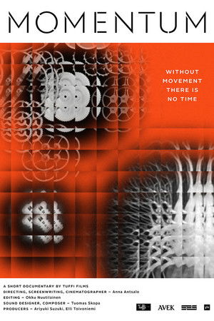 Momentum Momentum