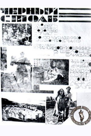 Black Pillar Black Pillar