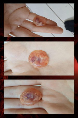 From the Heart From the Heart