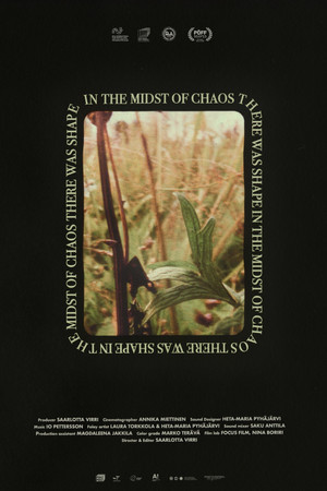 In the Midst of Chaos There Was Shape In the Midst of Chaos There Was Shape