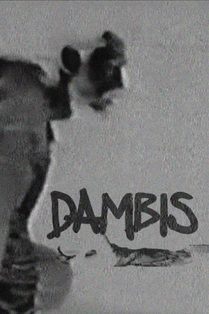 Dambis Dambis