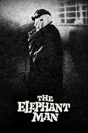 The Elephant Man The Elephant Man