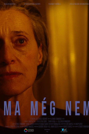 Not Yet Today Not Yet Today