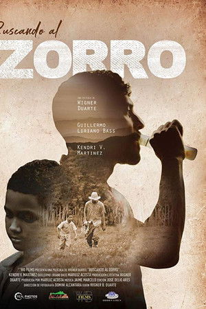 Searching for Zorro Searching for Zorro