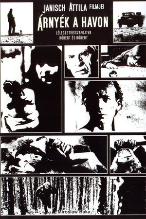 Shadow on the Snow Shadow on the Snow