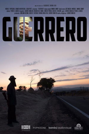 Guerrero Guerrero