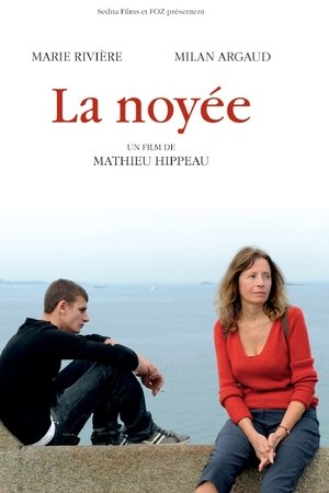 Washed Ashore Washed Ashore