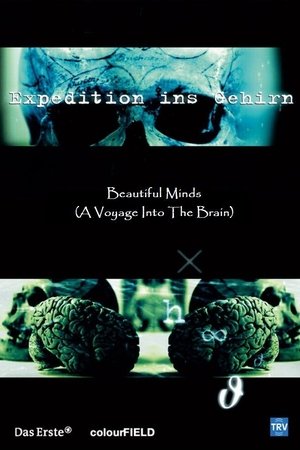 Beautiful Minds - Voyage into the Brain Beautiful Minds - Voyage into the Brain