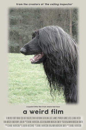 A Weird Film A Weird Film