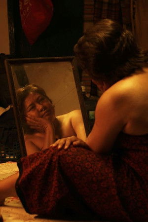 Late Blooming in A Lonely Summer Day Late Blooming in A Lonely Summer Day