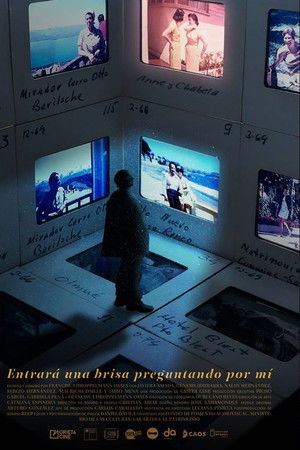Entrará una brisa preguntando por mí Entrará una brisa preguntando por mí