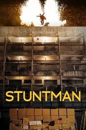 Stuntman Stuntman
