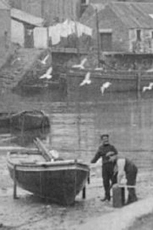 The Cornish Riviera The Cornish Riviera