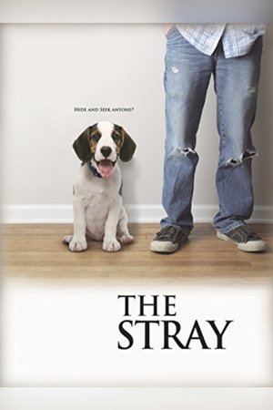 The Stray The Stray