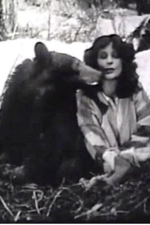 The Light on Lookout Mountain